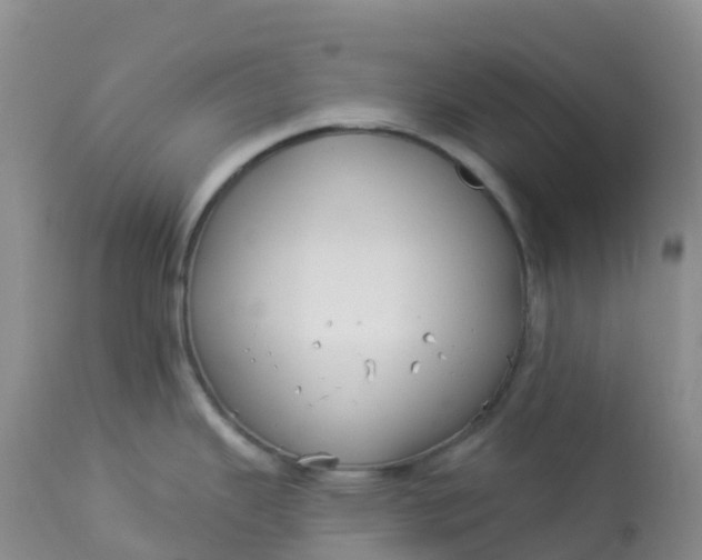 X0000113101343200909111042