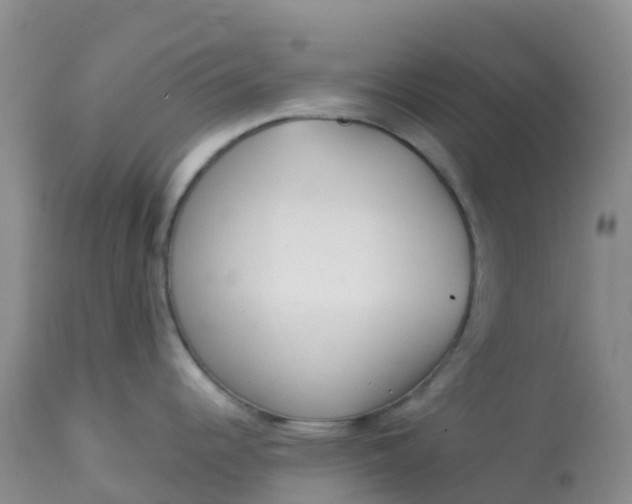 X0000113101344200909111042