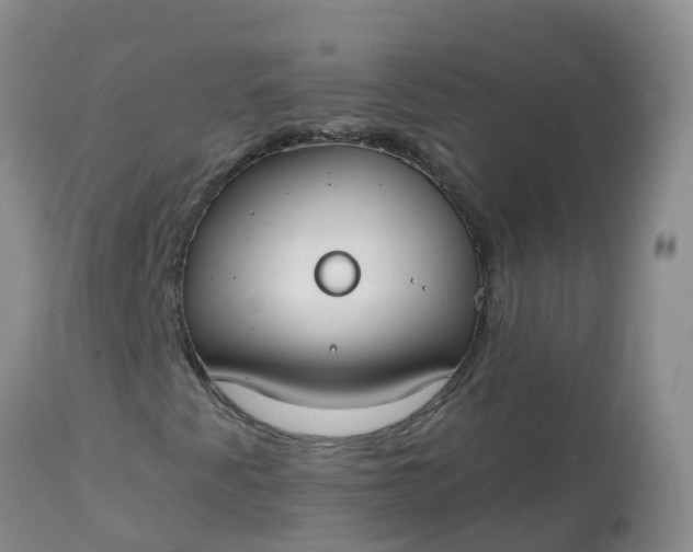 X0000113101345200909111041