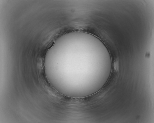 X0000113101347200909111041