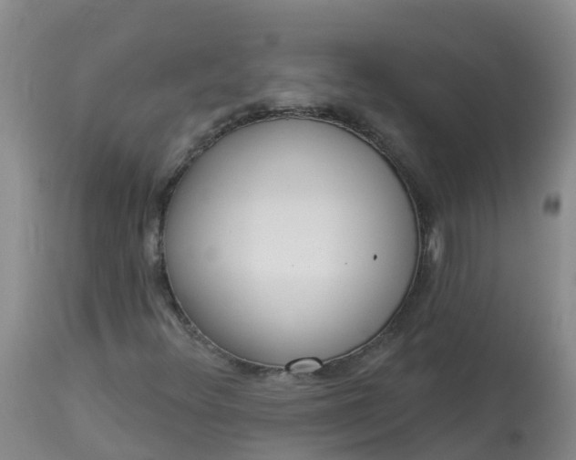 X0000113101348200909111041
