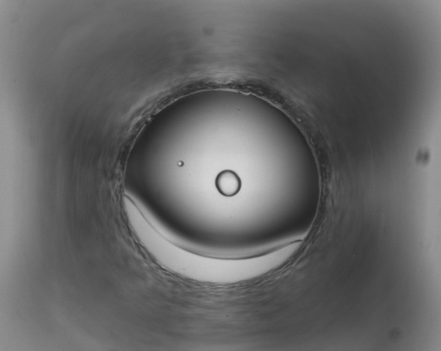 X0000113101349200909111041