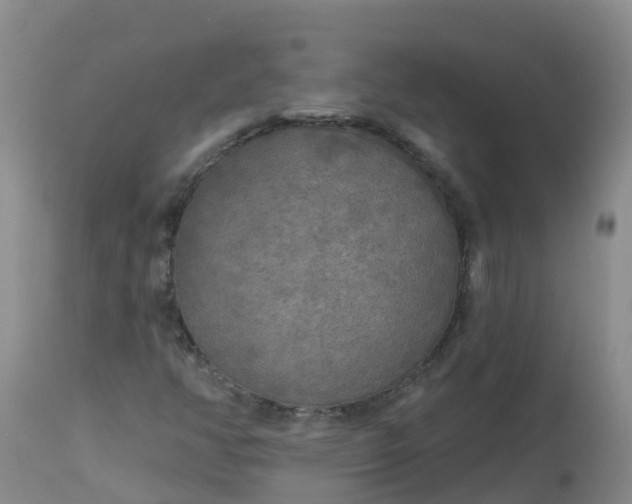 X0000113101350200909111041
