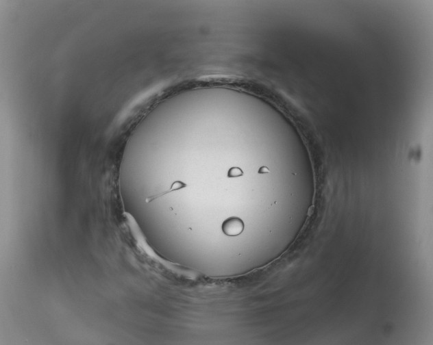 X0000113101351200909111041