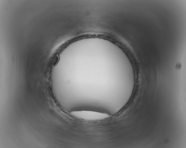 X0000113101352200909111041