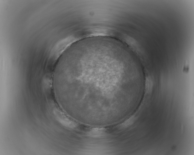 X0000113101353200909111041