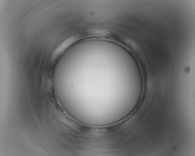 X0000113101354200909111041