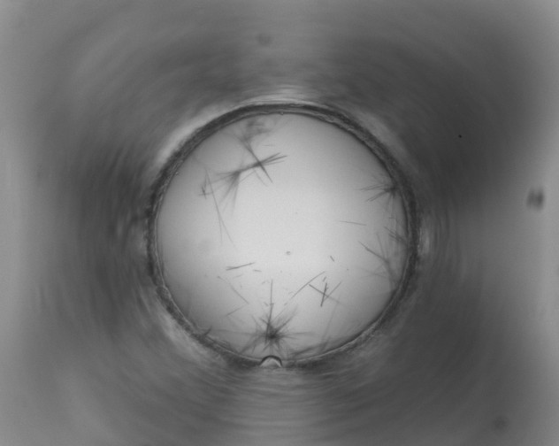 X0000113101356200909111041