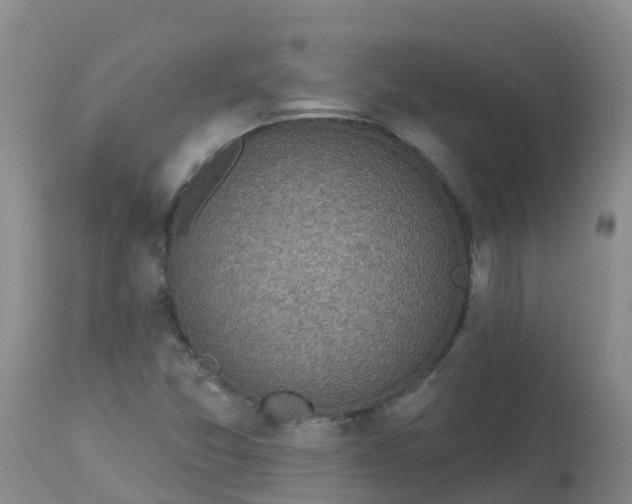 X0000113101357200909111041