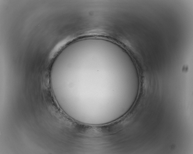 X0000113101358200909111041