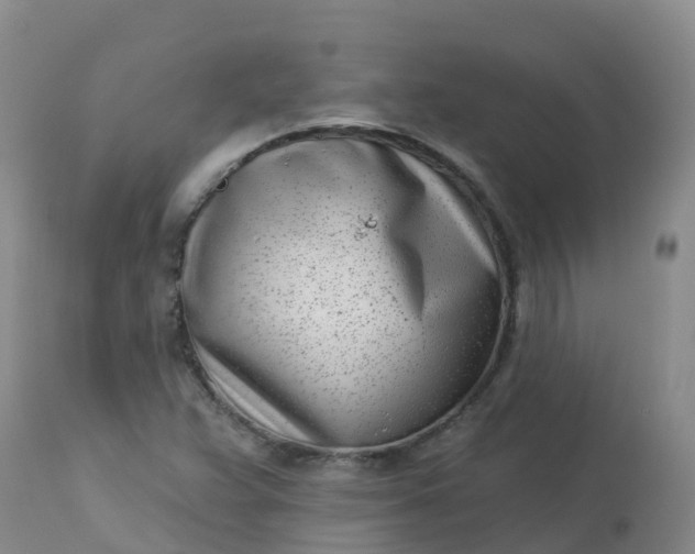 X0000113101359200909111041