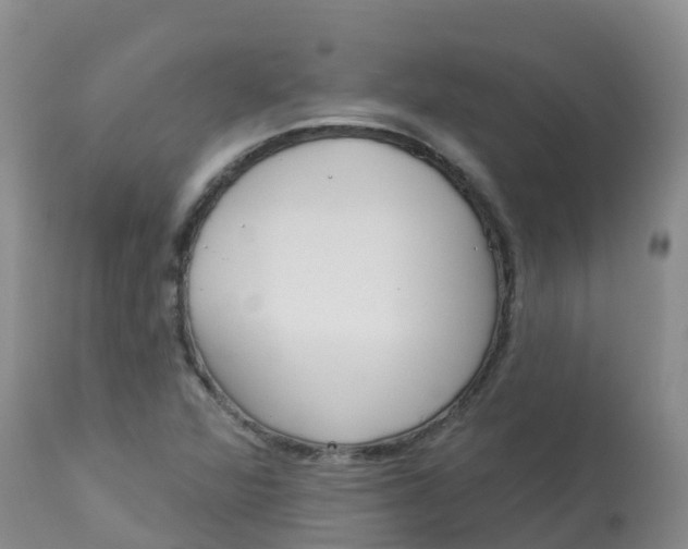 X0000113101360200909111041