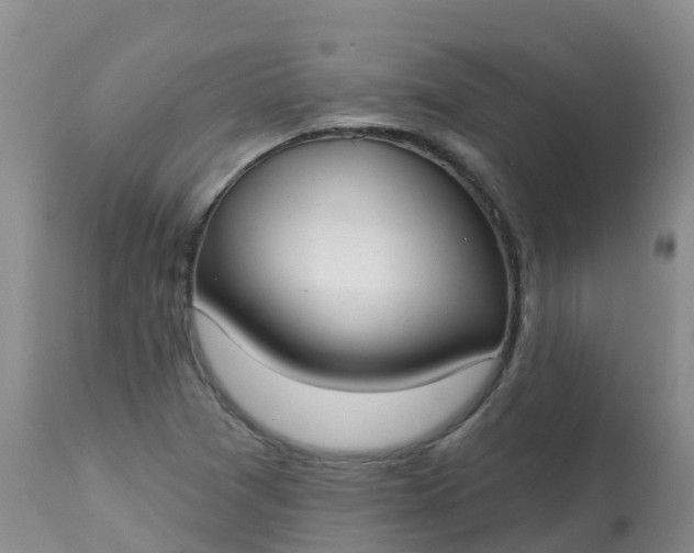 X0000113101361200909111041