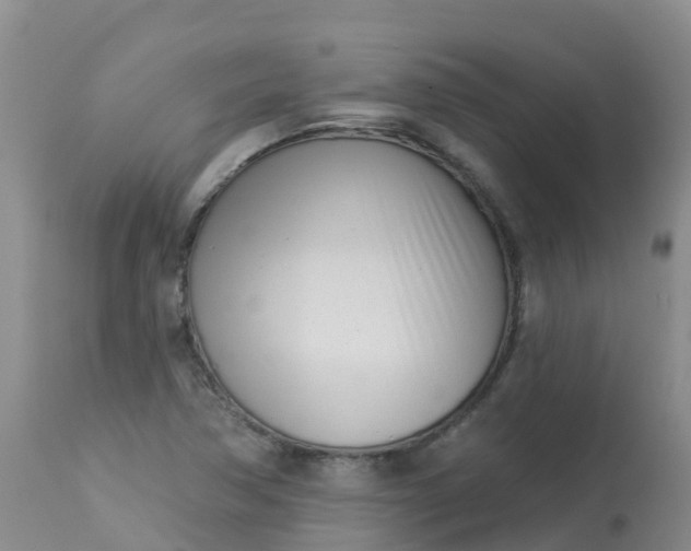 X0000113101362200909111041