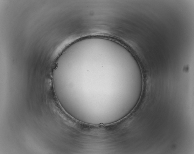 X0000113101363200909111041