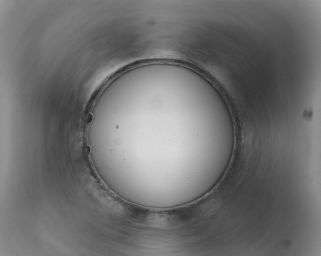 X0000113101364200909111041