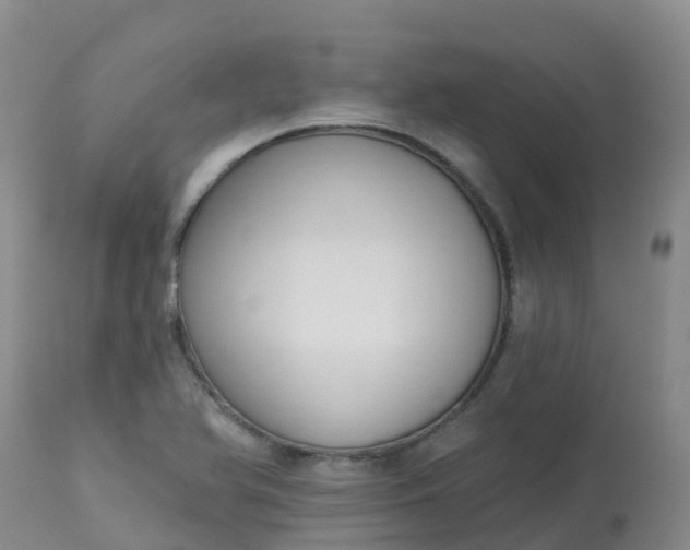 X0000113101366200909111041