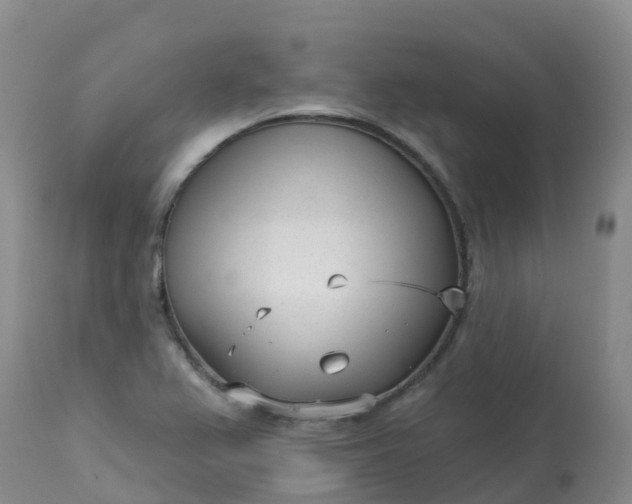 X0000113101367200909111041
