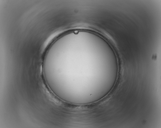 X0000113101368200909111041