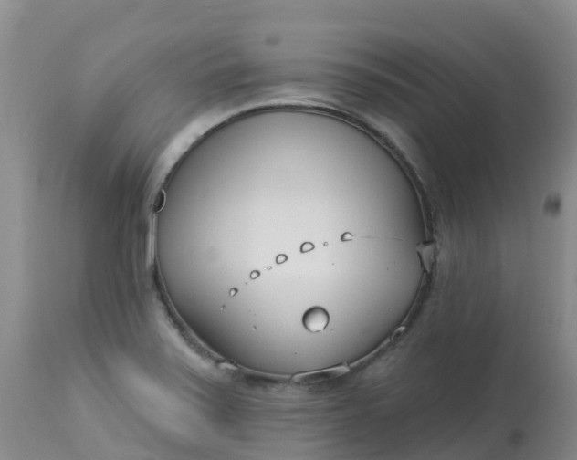 X0000113101371200909111041