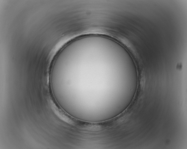 X0000113101372200909111041