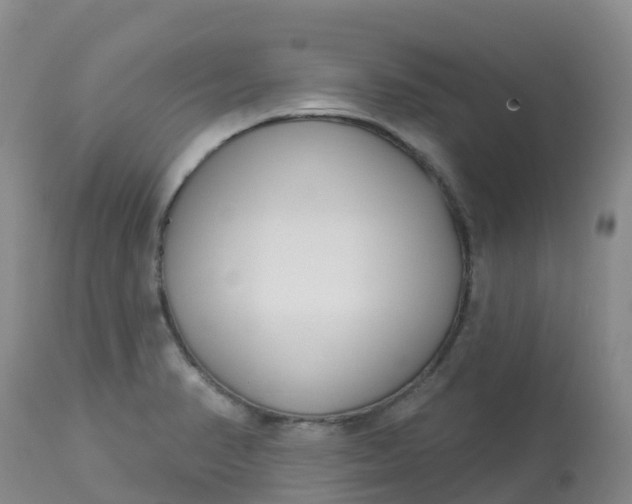X0000113101374200909111041