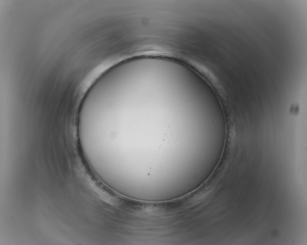 X0000113101375200909111041