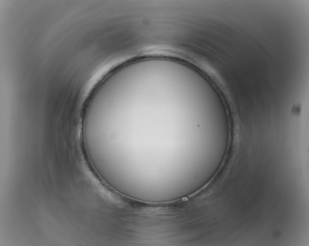 X0000113101376200909111041
