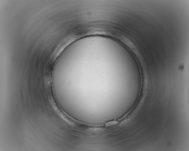 X0000113101377200909111041