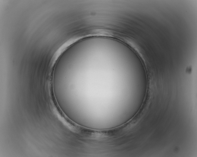 X0000113101379200909111041