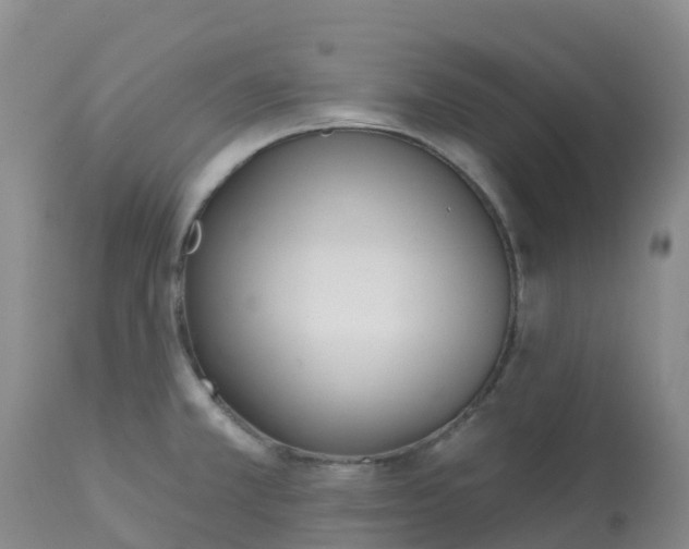 X0000113101381200909111041