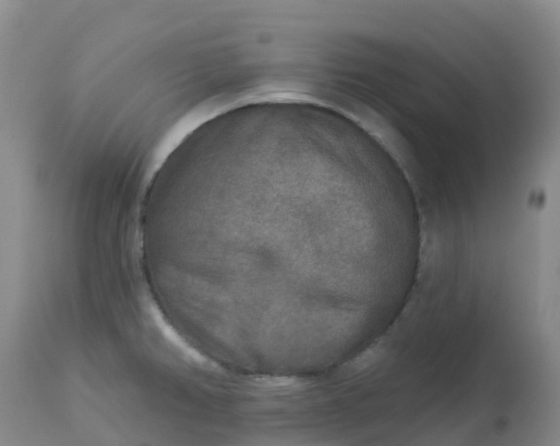 X0000113101382200909111041