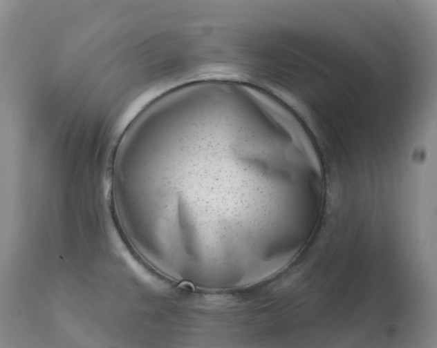 X0000113101383200909111041