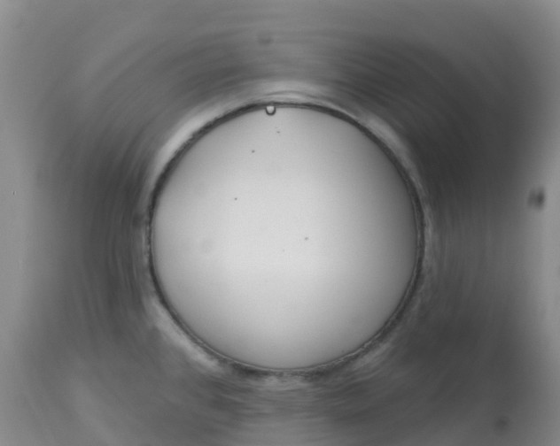 X0000113101384200909111041