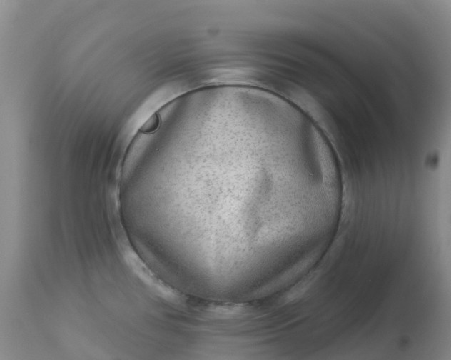 X0000113101386200909111041