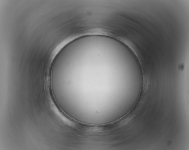 X0000113101387200909111041
