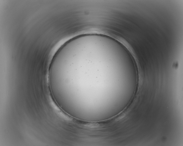 X0000113101388200909111041