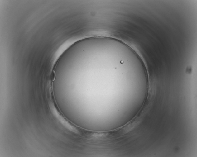 X0000113101389200909111041