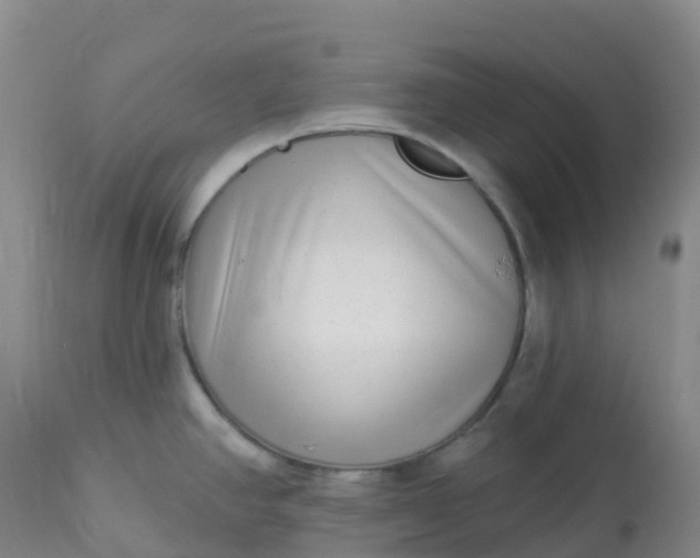 X0000113101390200909111041