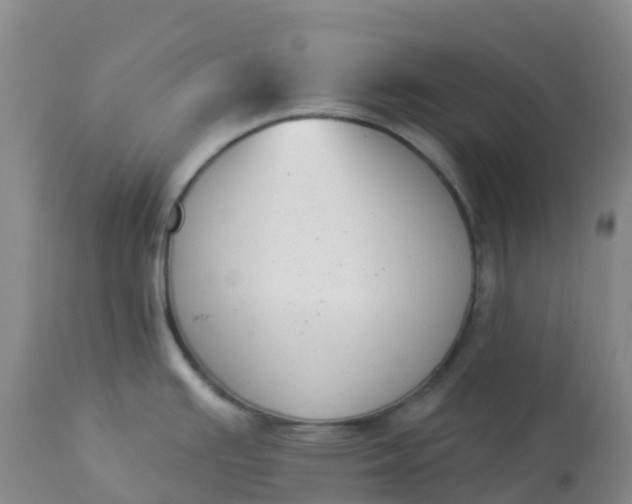 X0000113101391200909111041