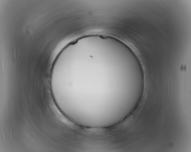 X0000113101392200909111041