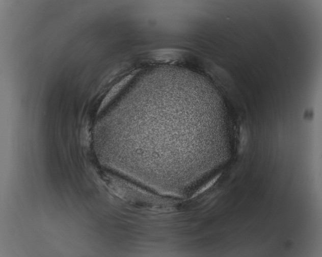 X0000113101394200909111040