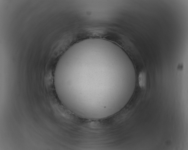 X0000113101395200909111040