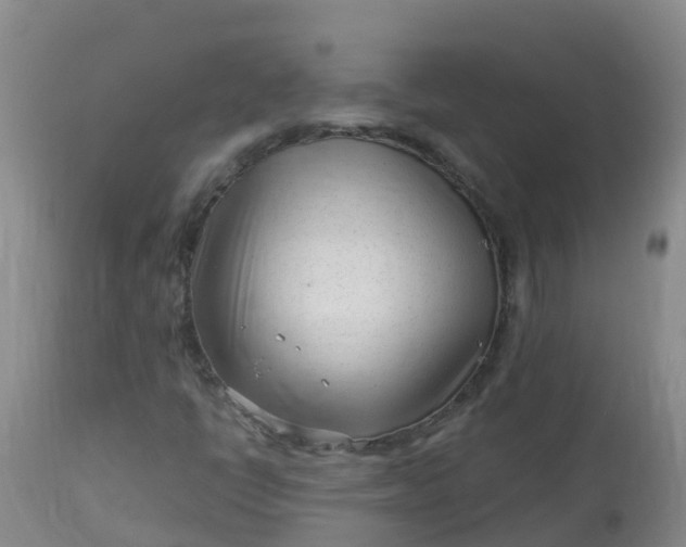 X0000113101398200909111040