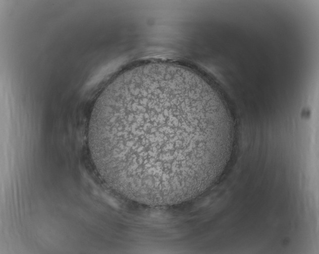 X0000113101399200909111040