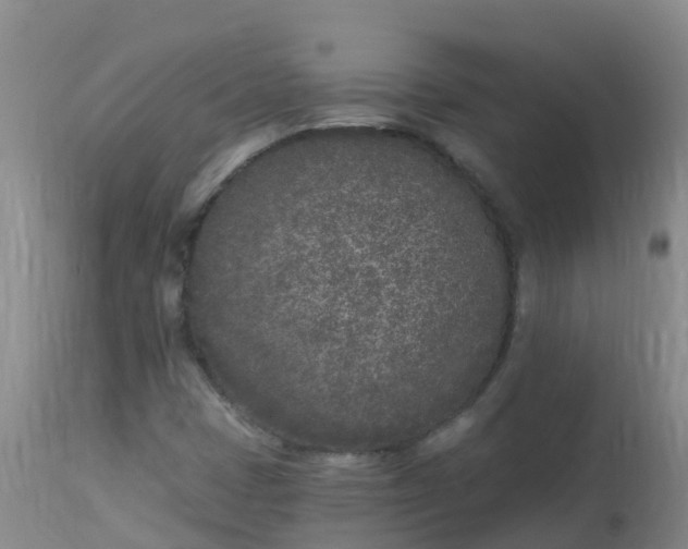 X0000113101401200909111040
