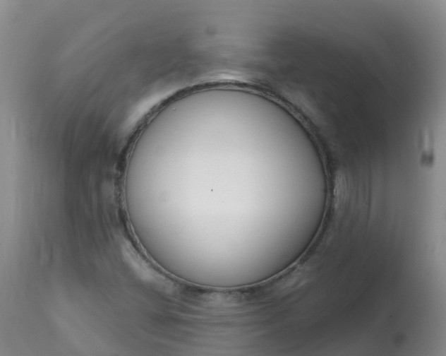 X0000113101404200909111040