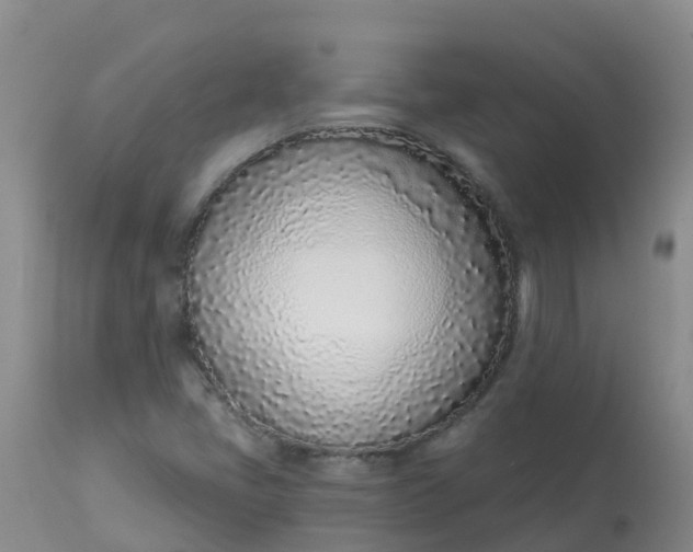 X0000113101405200909111040