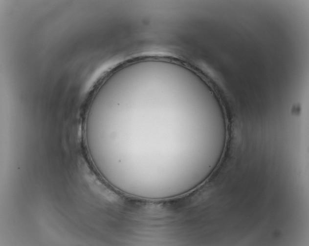X0000113101408200909111040