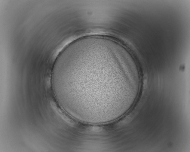 X0000113101409200909111040